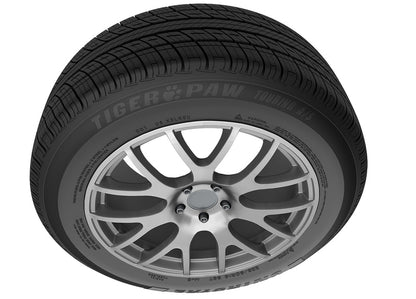 A/S DT Full season 255/50R20 105V passenger car tyres