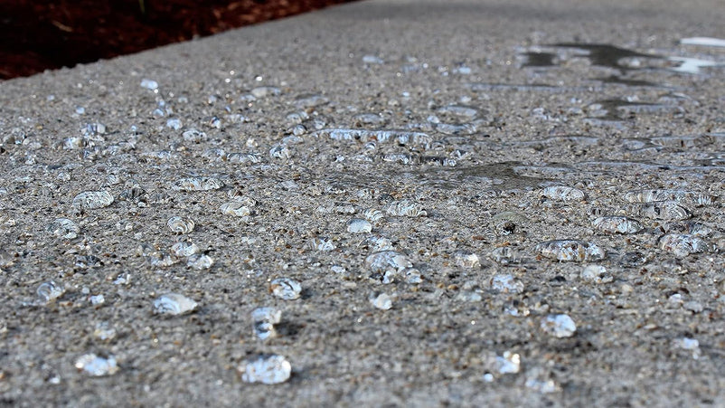 5-Gal. SX5000 WB DOT Approved Water Based Silane Siloxane Penetrating Concrete Sealer, Brick Sealer, Paver Sealer, Natural Stone Sealer